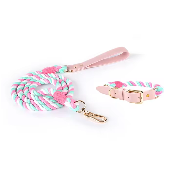 Custom Leather Luxury Pet Collar And Leash Set