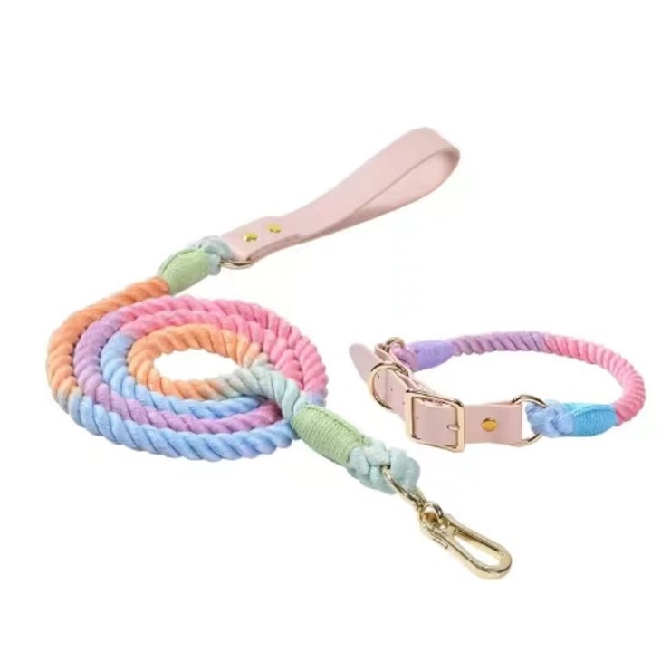 Custom Leather Luxury Pet Collar And Leash Set