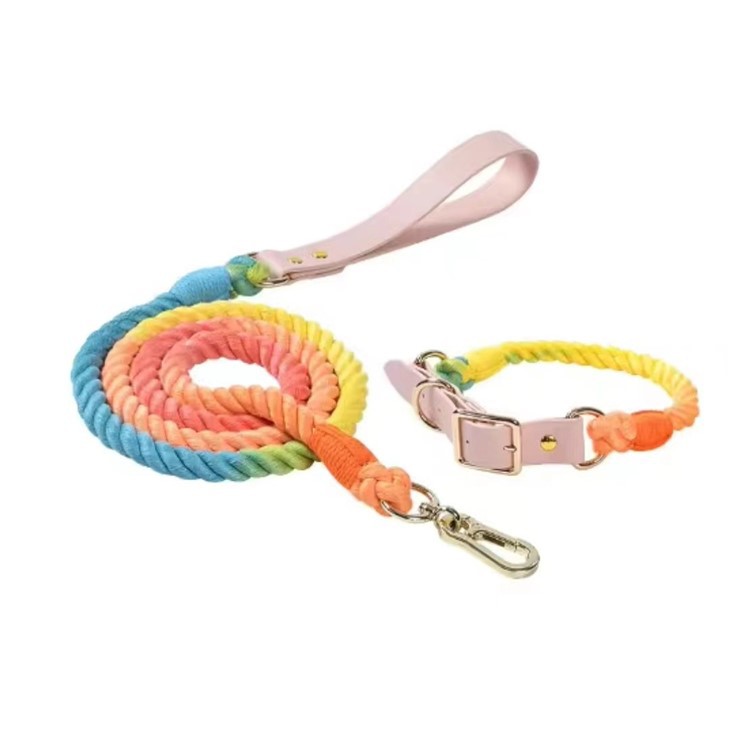 Custom Leather Luxury Pet Collar And Leash Set